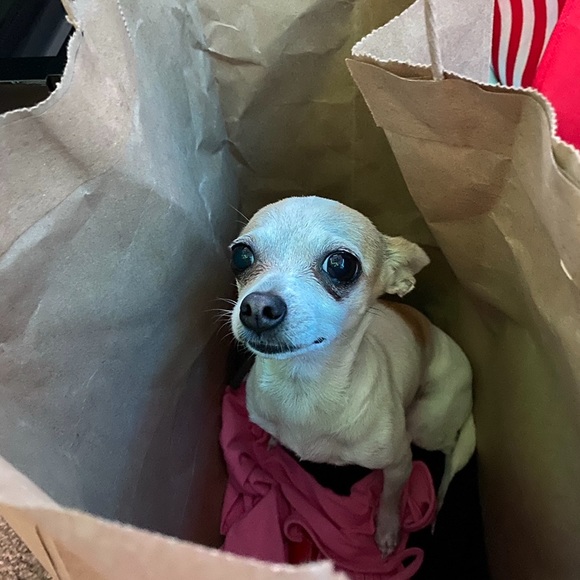 🏝️OHANA means family🌴🌺 Family is Forever 🌺 - Picture 12 of 17